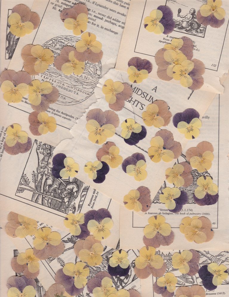 pansies on pages from a midsummer night's dream