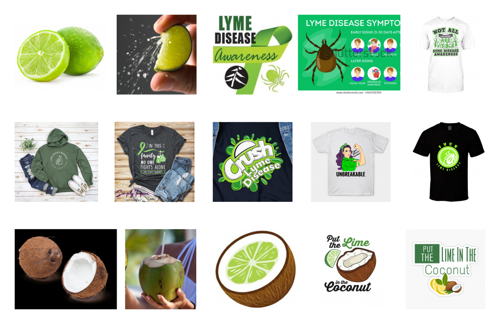 slide of images depicting limes coconuts and lyme disease awareness